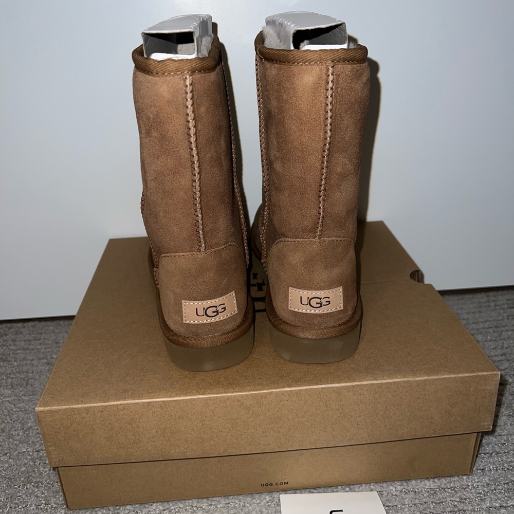 UGG Chestnut Suede Boots